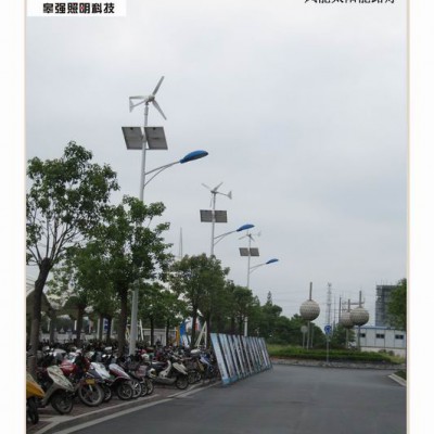 太阳能风能路灯庭院灯