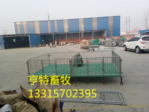 泊头普通管双体仔猪保育床多少钱一套