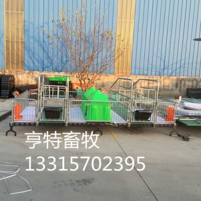 热镀锌管加重双体母猪产床厂家直销