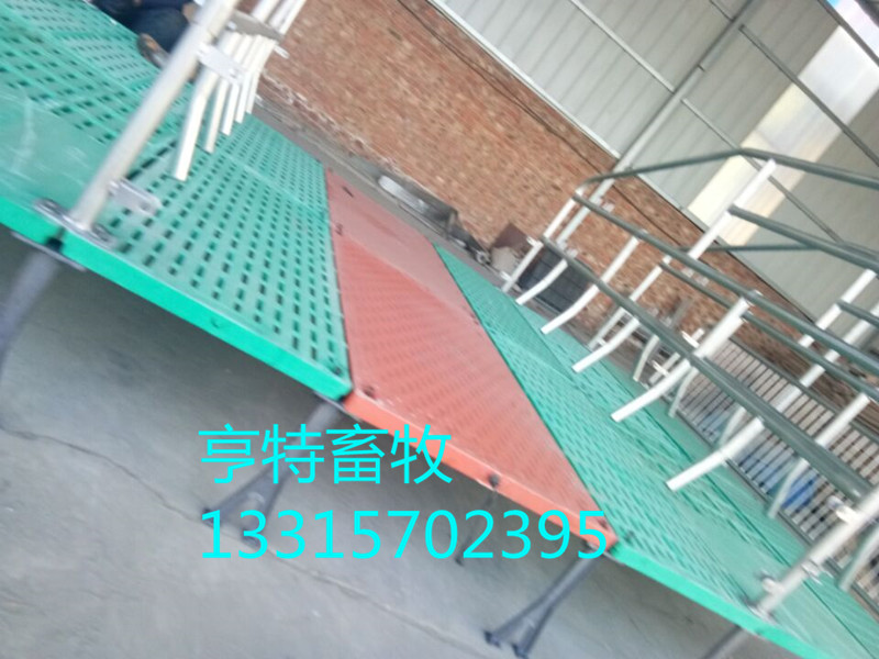 养殖设备双体母猪分娩产床厂家咨询