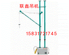 联鑫小吊机装修小型吊运机建筑吊运机提升机微型吊运机