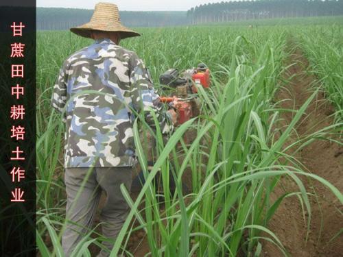 田园管理机田园管理机怎么使用风冷柴油机1800多少钱