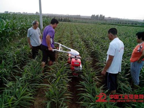 家户品牌田园管理机多功能田园管理机哪个牌子好小型松土机