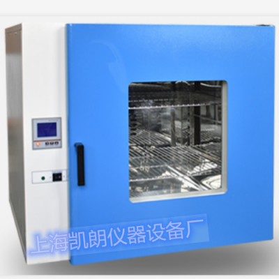 台式鼓风干燥箱DHG-9240A