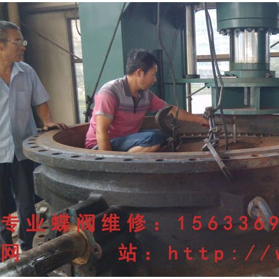 专业阀门维修 蝶阀维修