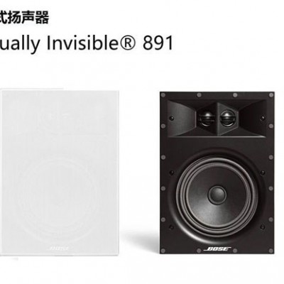 BOSE  891嵌入隐藏式扬声器吊顶背景音乐
