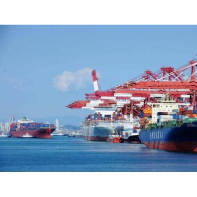 深圳市蓝星博供应链管理有限公司