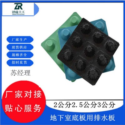石家庄14厚高分子防护异形片-5公分蓄排水板