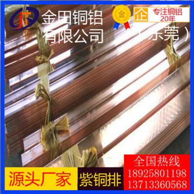 高精度t1紫铜排，t5抗氧化紫铜排-t6超薄紫铜排