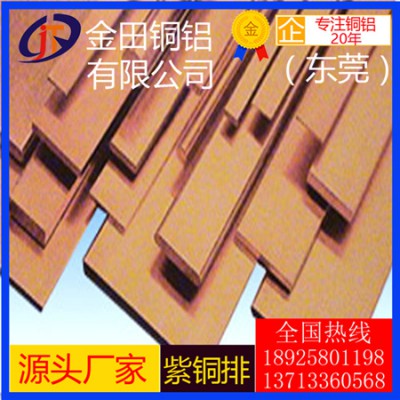 厂家直销t6紫铜排-t2宽幅紫铜排，t3耐腐蚀紫铜排