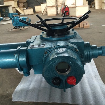 DZW60-24Z 整体型电动执行机构