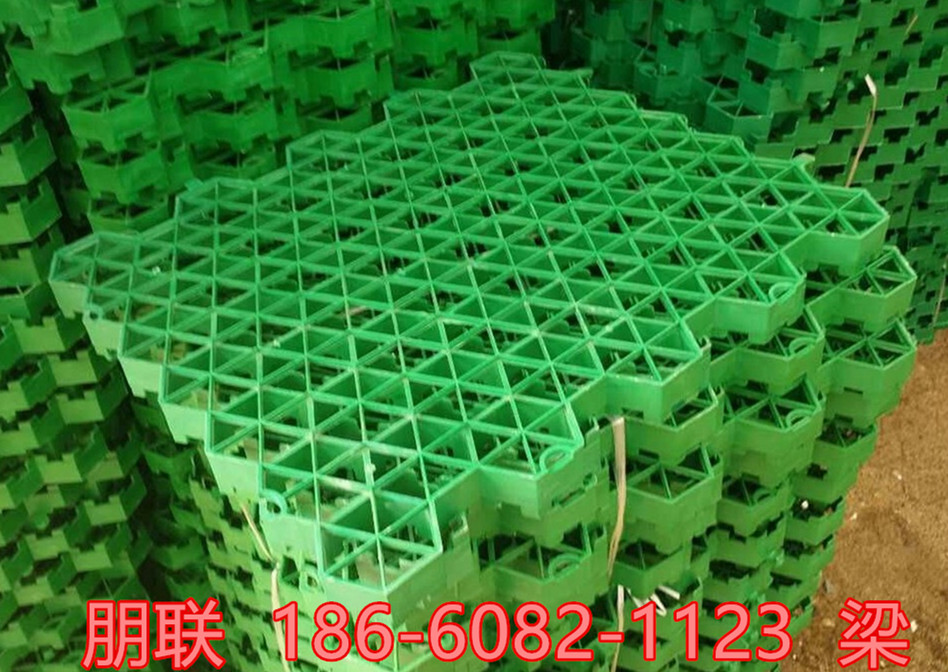 滨州植草格本地生产厂家