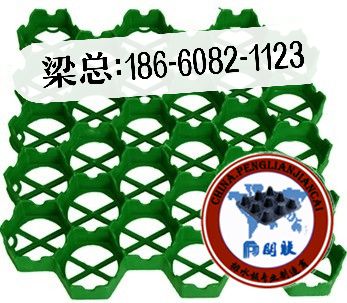 秦皇岛植草格厂家直接发货