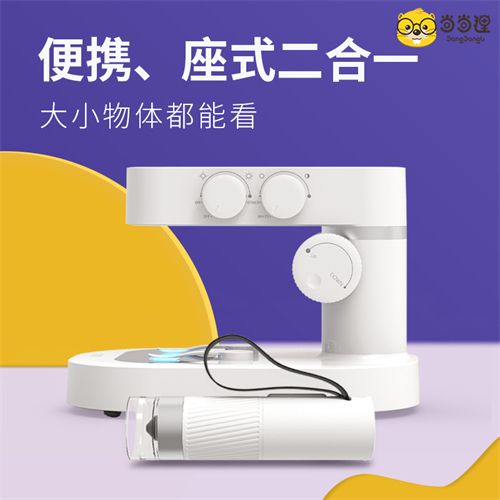 陪孩子做了这些有趣的事 提高娃的观察能力、探索能力