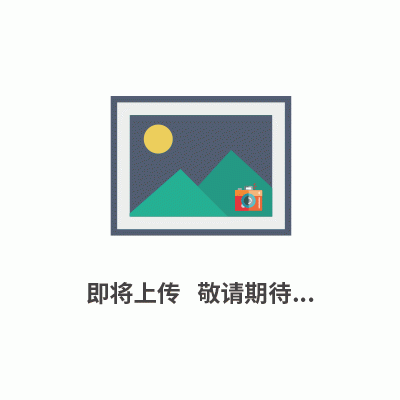 埃里森药品综合稳定性试验箱