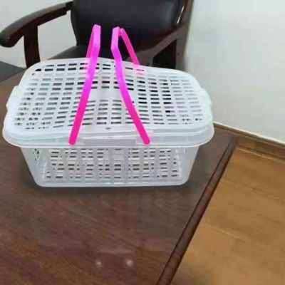 四川成都全新料塑料筐水果提篮樱桃筐草莓筐水果筐5斤8斤