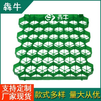 湘潭消防车道生活社区停车场塑料植草格款式新颖