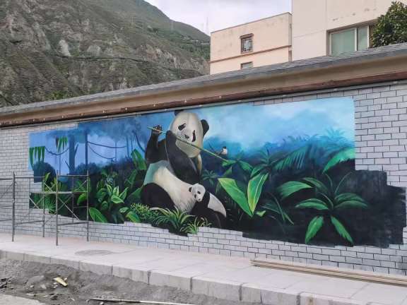 丽江墙体彩绘价钱 丽江外墙彩绘 丽江涂鸦墙绘