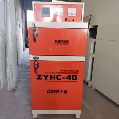 两用型电焊条烘干箱 智能保温箱 双门带贮藏焊条干燥箱
