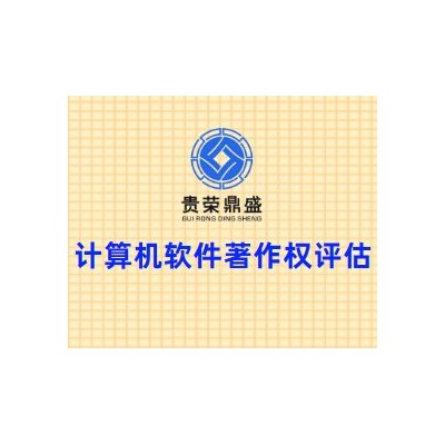 北京市顺义区计算机软件著作权评估贵荣鼎盛评估