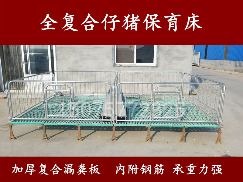 仔猪保育床 小猪仔双体保育床生产出售