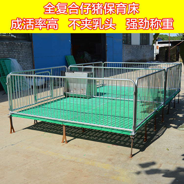 仔猪保育床 小猪用连体保育床生产厂家