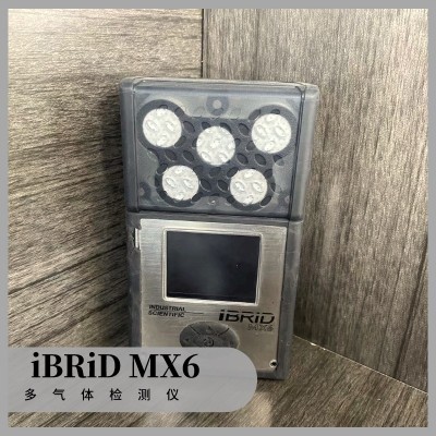 SCI英思科iBrid MX6硫化氢氨气甲烷复合气体检测仪