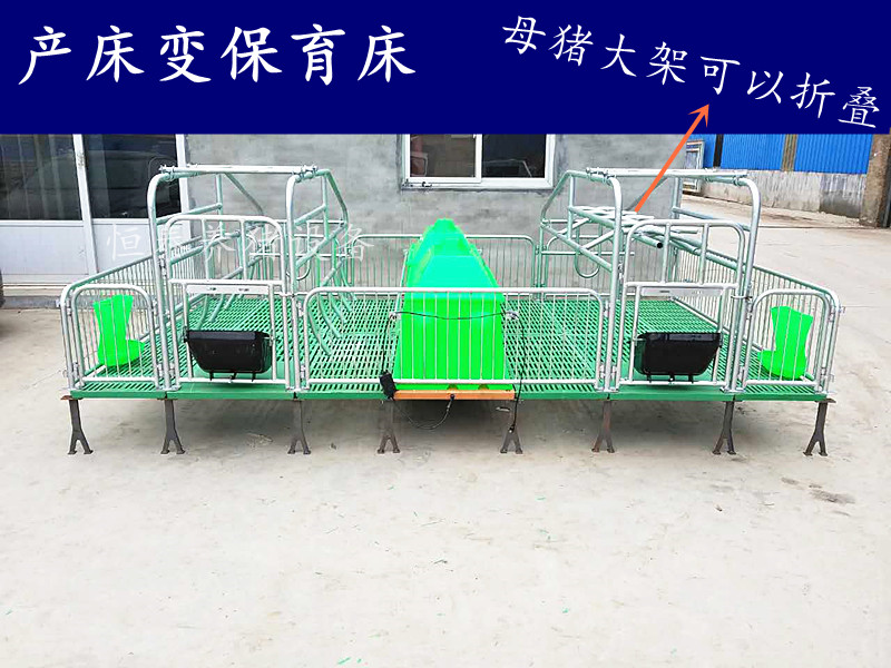 母猪产床  母猪全复合分娩床现货出售