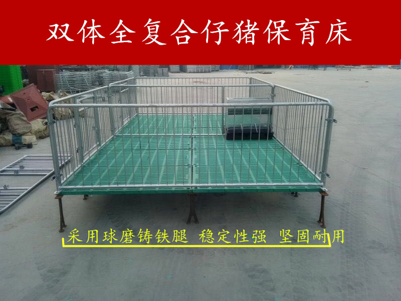 仔猪保育床 小猪用连体保育床生产厂家