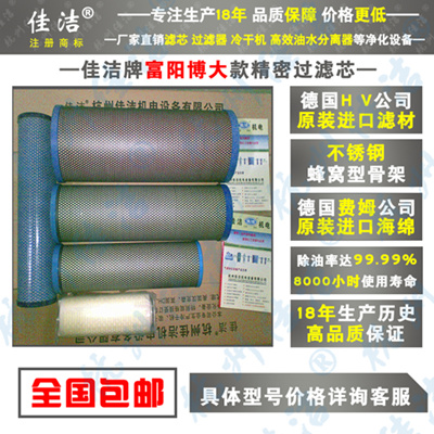 除菌过滤器 FLC-20/8 FLC-30 FLC-40滤芯