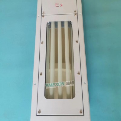 300x1200/300×600嵌入式防爆洁净荧光灯