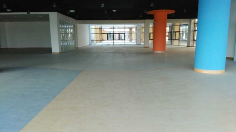 供应得嘉PVC同质透心地板 塑胶地板厂家批发