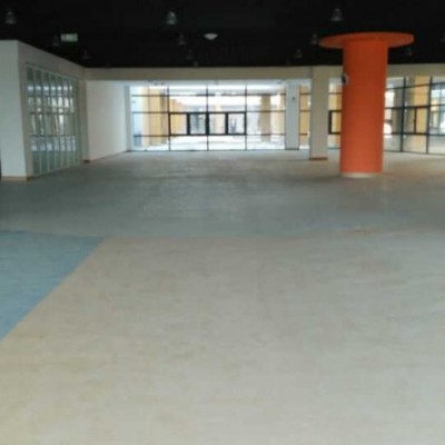 供应得嘉PVC同质透心地板 塑胶地板厂家批发