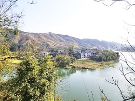 浙江众扶农业，湖州众扶发展，湖州茶园加盟，浙江茶山加盟