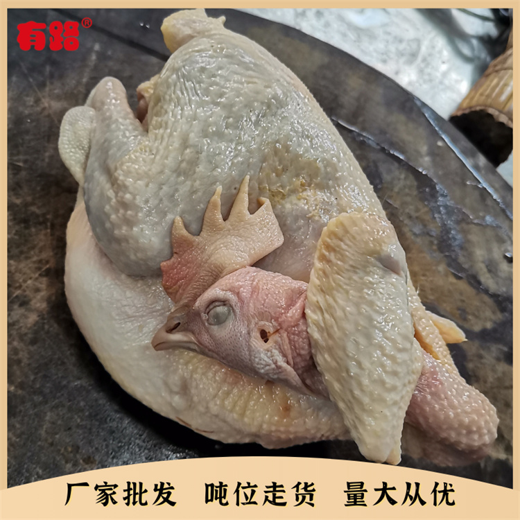 蛋鸡老母鸡白条山东冷冻鸡肉生产厂家直销货源稳定6只到14只装