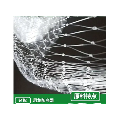 抗晒新料防鸟网尼龙樱桃防鸟网2厘米网孔宽幅全