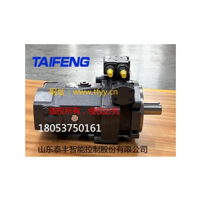 供应泰丰TFB系列柱塞泵