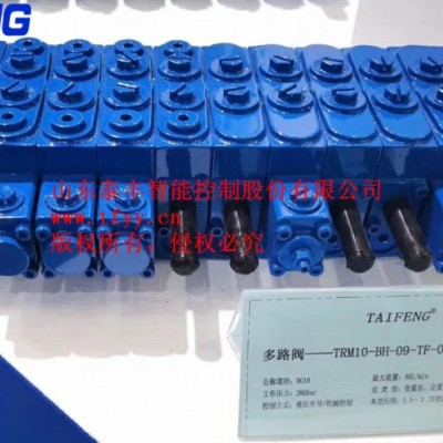 供应山东泰丰生产TRM10系列多路阀