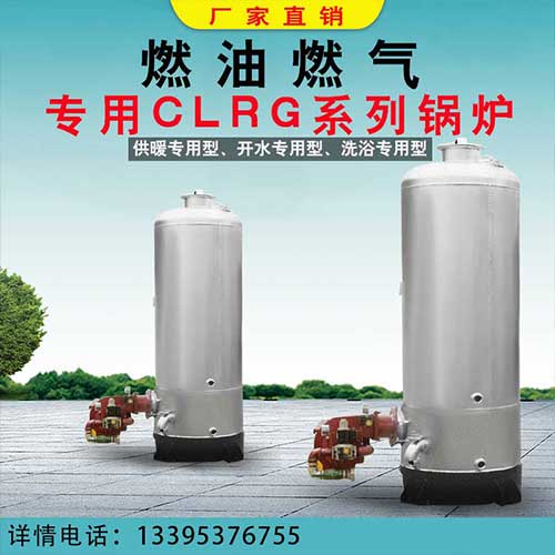 琪源新能源气煤两用沼气锅炉 沼气供暖锅炉 工业沼气锅炉
