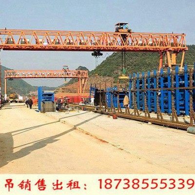 山东枣庄龙门吊租赁厂家10t80t门机跨度28米销售