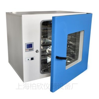 台式250度电热恒温鼓风干燥箱DHG-9023A