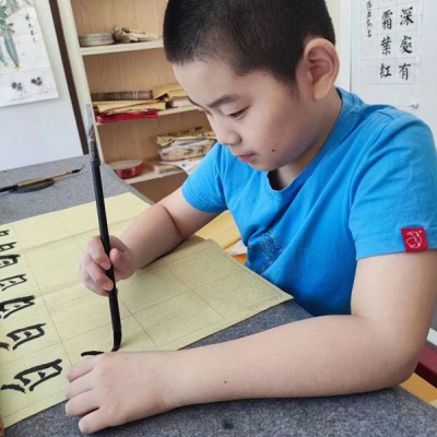 苏州少儿书法班硬笔软笔培训机构推荐三六六艺术中心