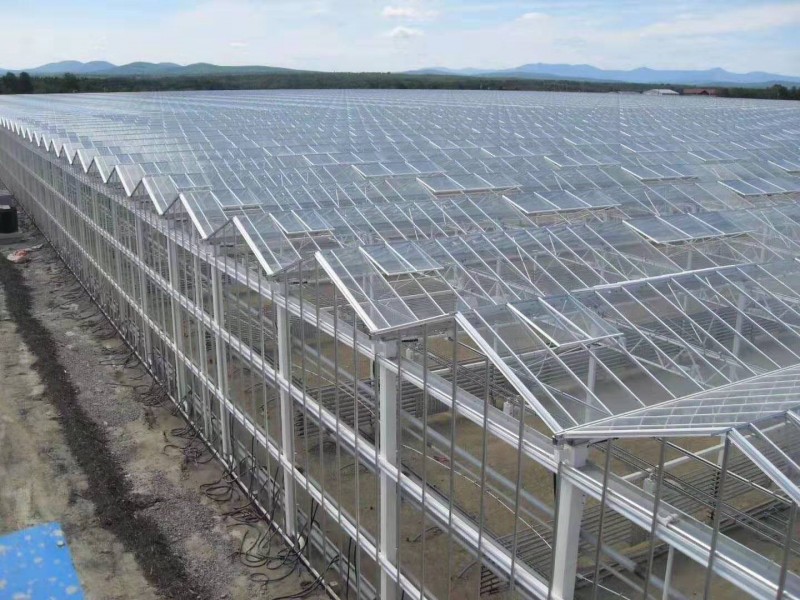承接西藏拉萨日喀则蔬菜温室大棚育苗温室大棚