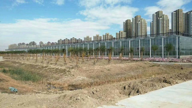 新疆乌鲁木齐智能温室建造公司/温室大棚骨架加工厂