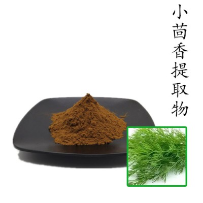 小茴香提取物10:1