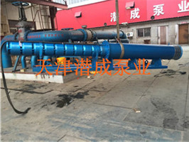 卧式潜水泵轨道式水泵-可以斜着使用的深井潜水泵厂家潜成泵业