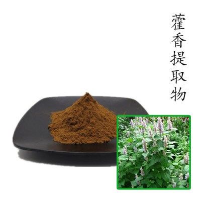 藿香提取物10:1 散装浓缩粉