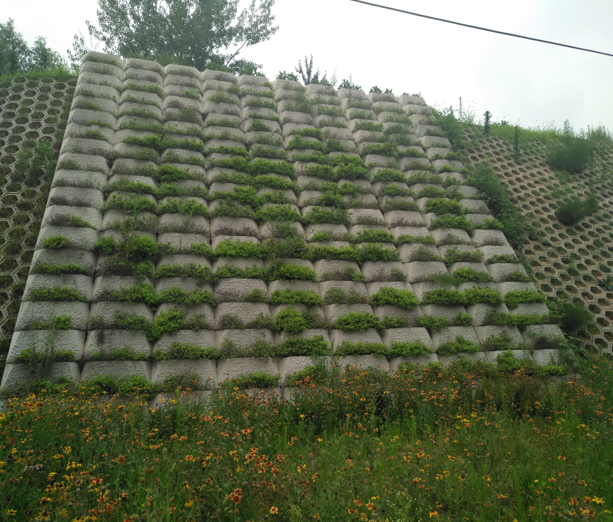 水泥植草护坡价格是多少-水利植草式护坡模具