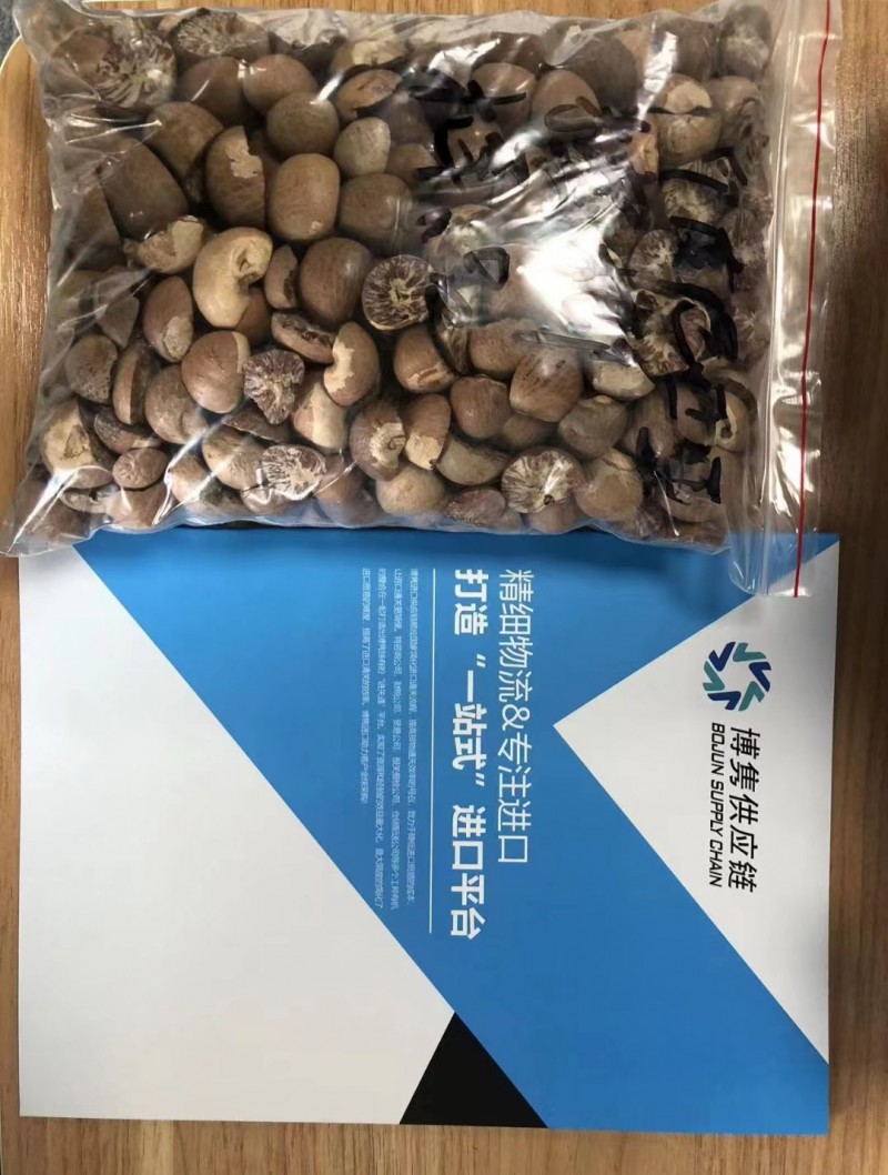 药用槟榔进口报关公司