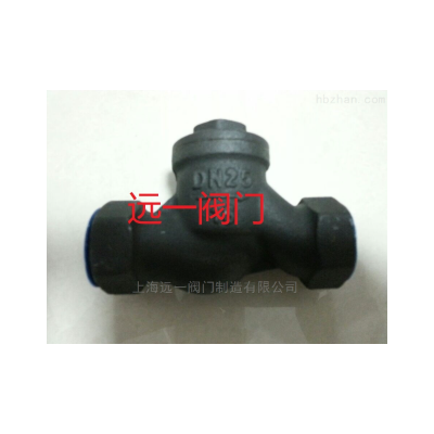 天然气内螺纹止回阀H11F-16C